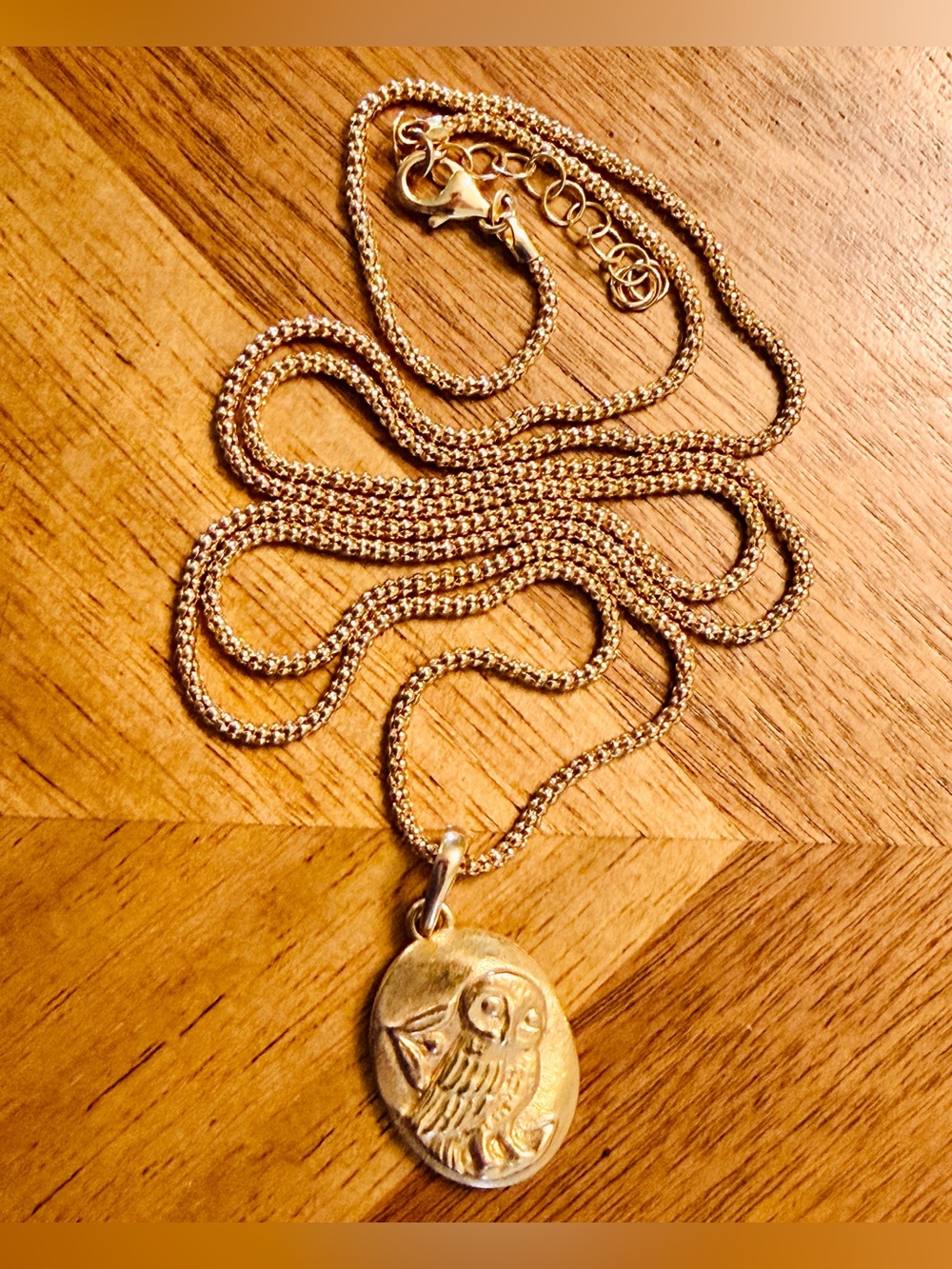 Bronzo-Italia Long Gold Tone Owl Pendant with Chain - Italy Bronze